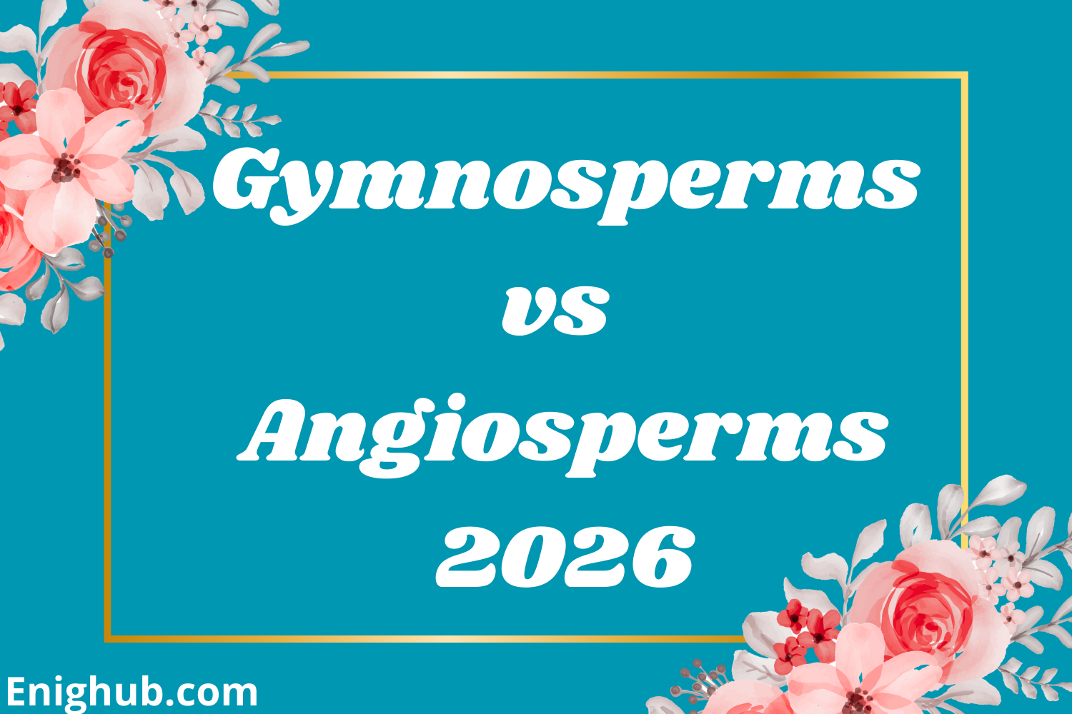 Gymnosperms vs Angiosperms The Simple, Clear Difference Explained for ...