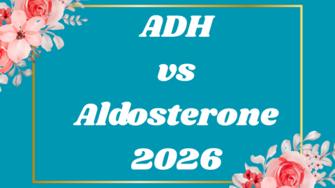 ADH vs Aldosterone