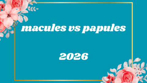 macules vs papules