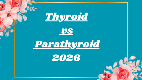 Thyroid vs Parathyroid