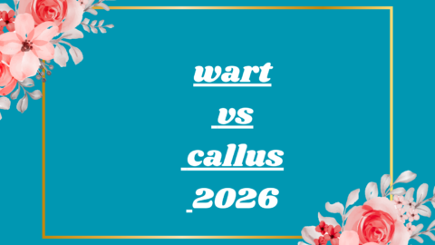 wart vs callus