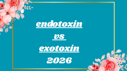 endotoxin vs exotoxin