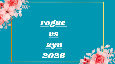 rogue vs zyn