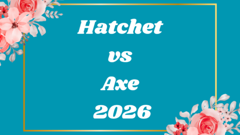 Hatchet vs Axe