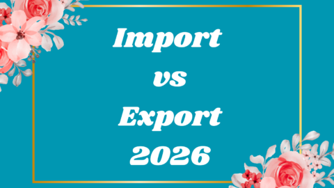 Import vs Export