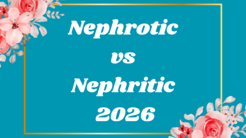 Nephrotic vs Nephritic