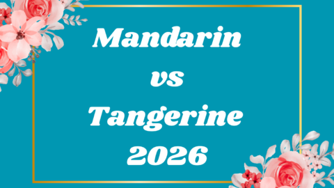 Mandarin vs Tangerine