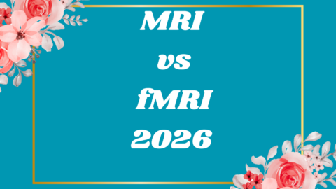 MRI vs fMRI