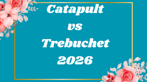 Catapult vs Trebuchet