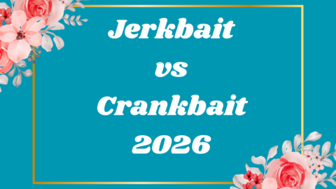 Jerkbait vs Crankbait