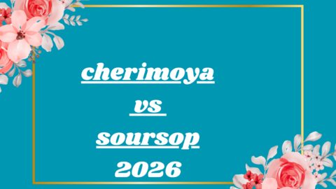cherimoya vs soursop