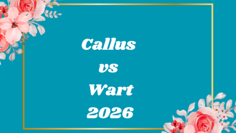 Callus vs Wart
