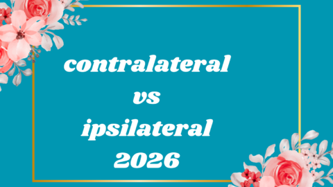 contralateral vs ipsilateral