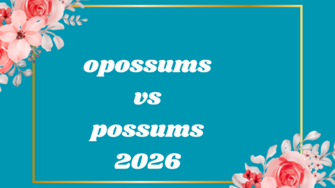 opossums vs possums