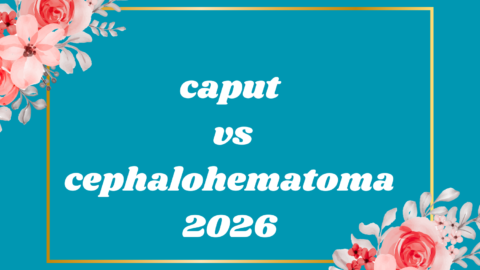 caput vs cephalohematoma