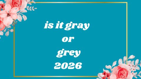 is it gray or grey
