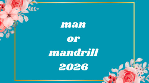 man or mandrill