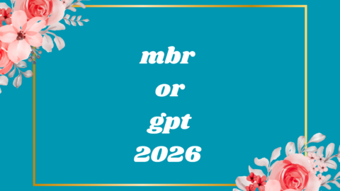 mbr or gpt