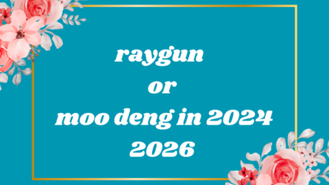 raygun or moo deng in 2024