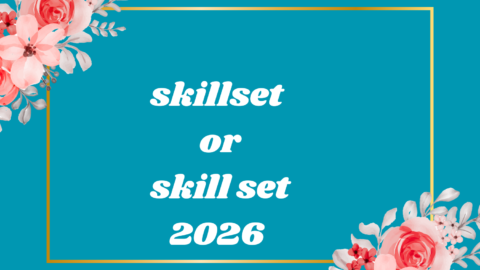 skillset or skill set