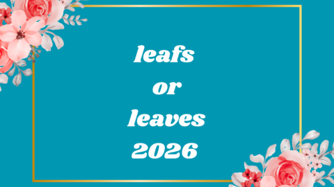 leafs or leaves