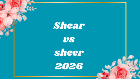 Shear vs sheer